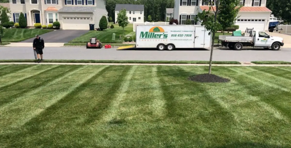 Professional lawn mowing service showing clean stripes on a South Jersey property