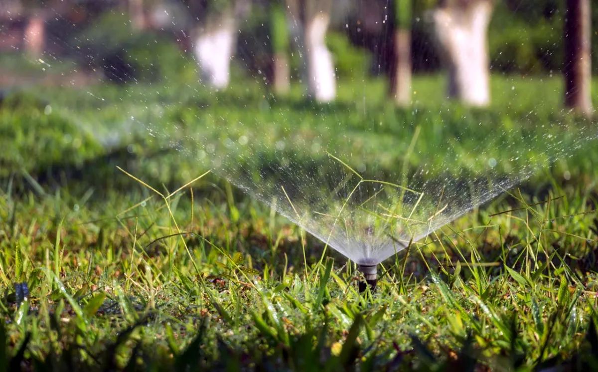 Sprinkler system installation for residential lawns in South Jersey